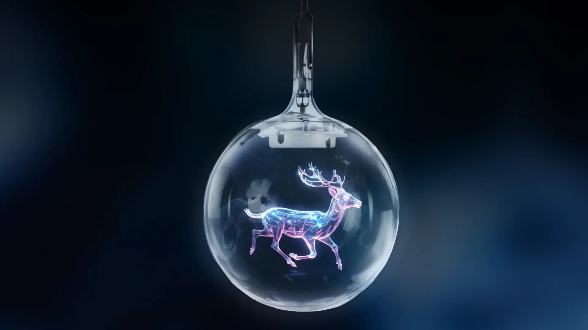 PREVIEW_WINTER_FRAME_V1